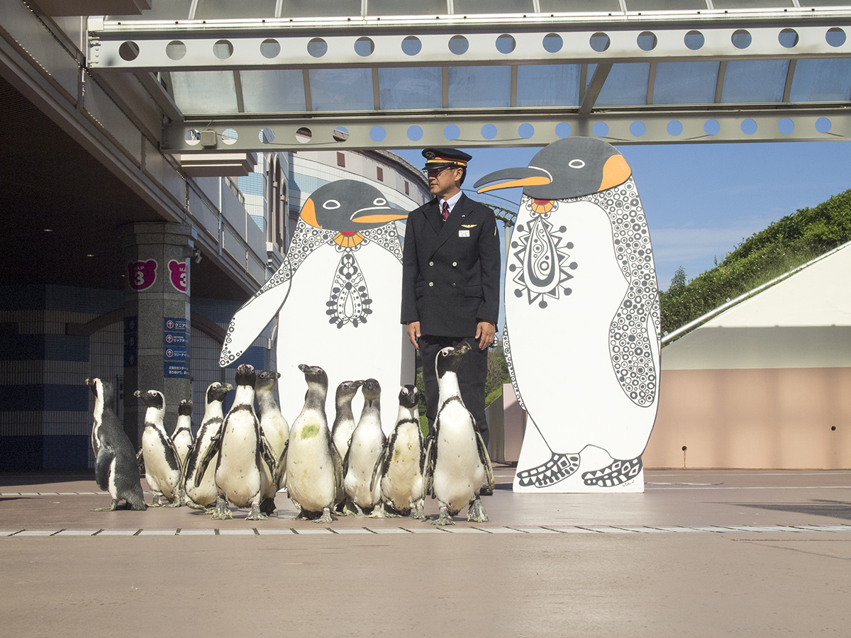 こちらではペンギンたちとの撮影。駅長もペンギンたちと近いポージング。